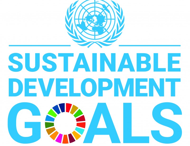 E SDG logo UN emblem square PRINT
