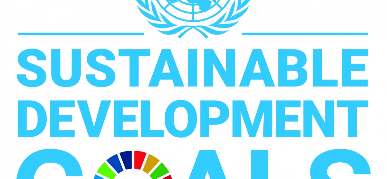 E SDG logo UN emblem square PRINT