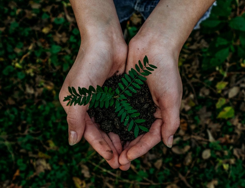 noah buscher x8ZStukS2PM unsplash